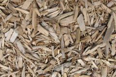 biomass boilers Scraptoft