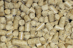 Scraptoft biomass boiler costs